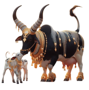 cow png