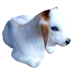 cow png