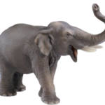 Elephant free Png