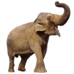 Elephant free Png