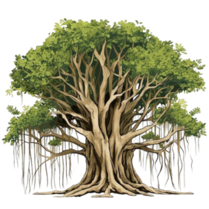 tree free png