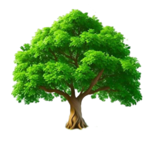 tree free png